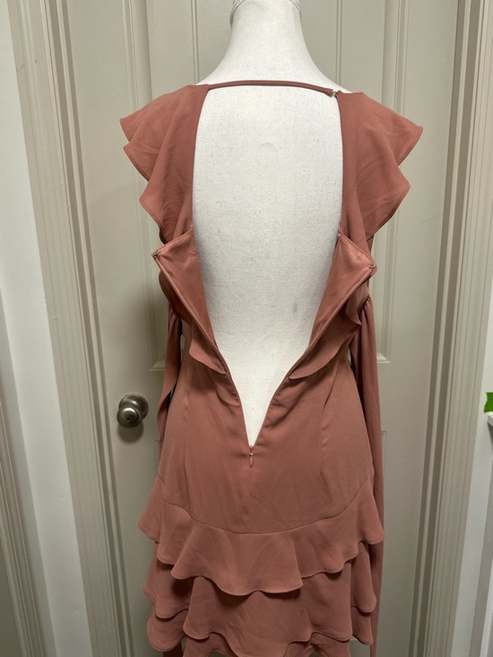 Express Rose Ruffle V-Neck Mini Dress - Picture 5 of 6